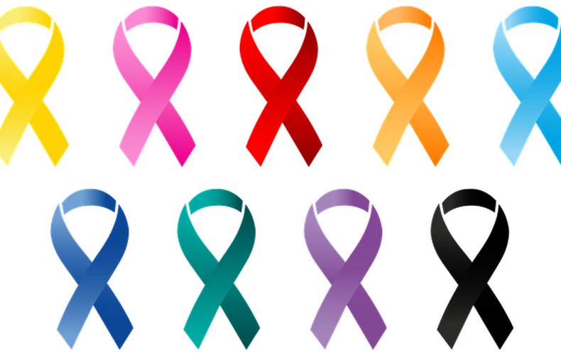 Marche pour le cancer organisée par Nancy Lanteigne, conseillère